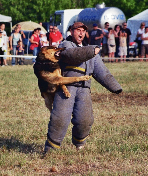 nate01.jpg