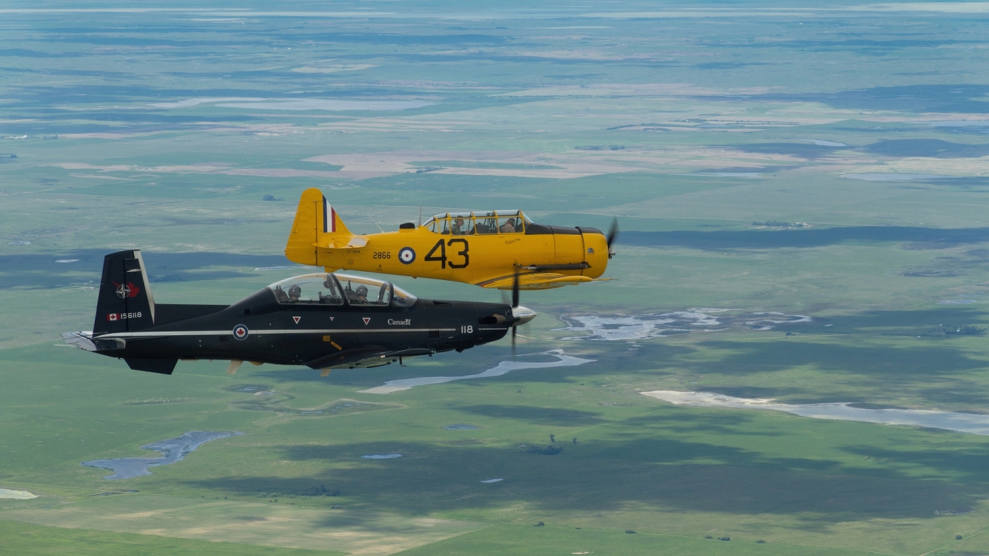 20110616_ROA_40.jpg