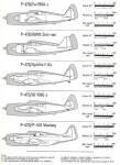 P47.jpg