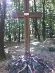 20160807_102829.jpg